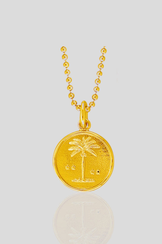 Palmita