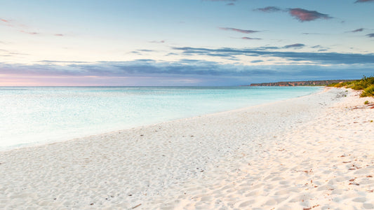 11. Temporada - Bahía de las Águilas
