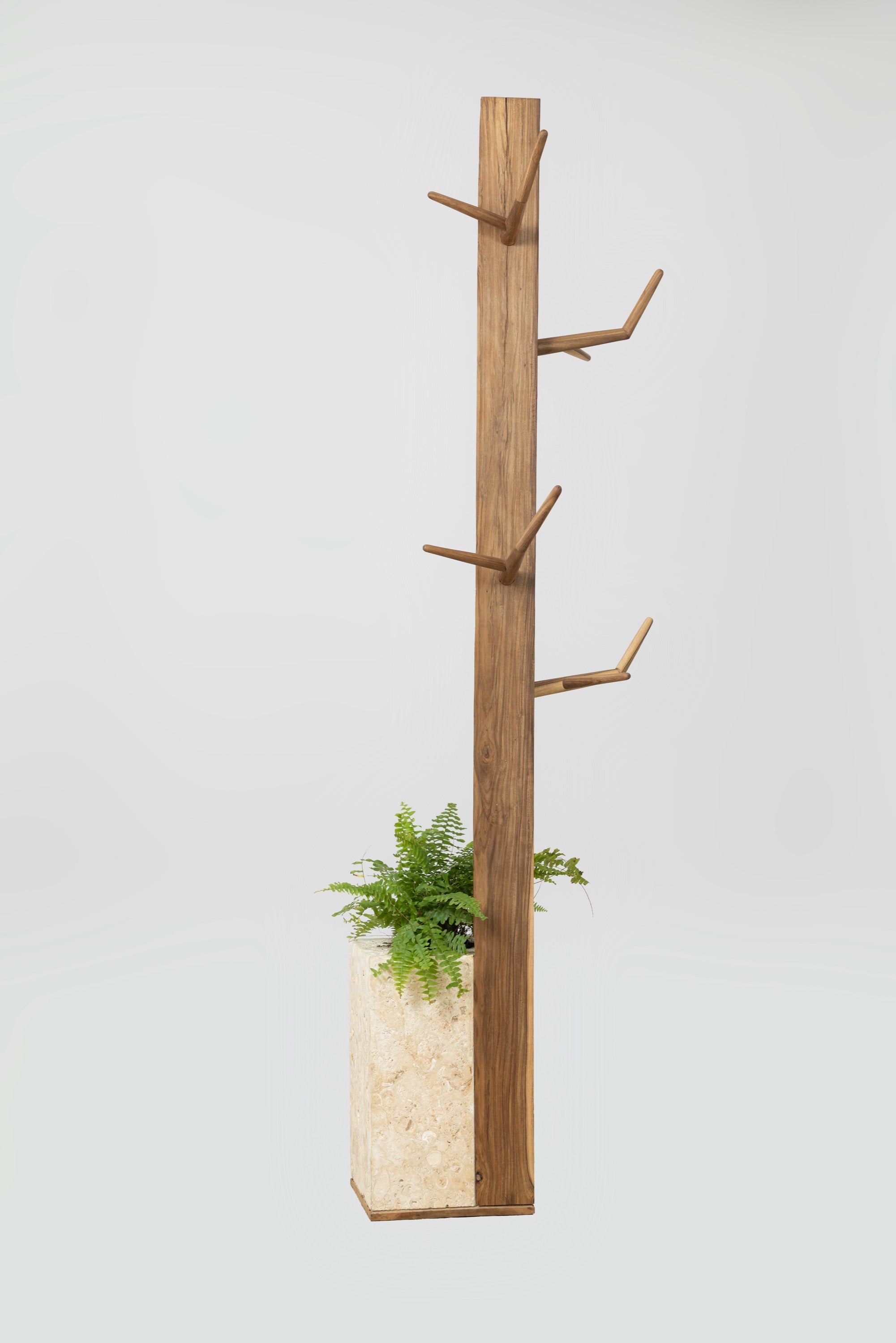 ADesign+