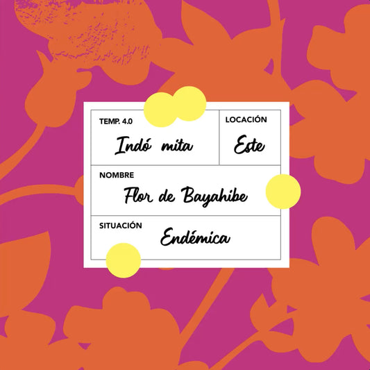 4. Temporada - Inspirada en la flora nativa y endémica dominicana enfocada en la Rosa de Bayahibe