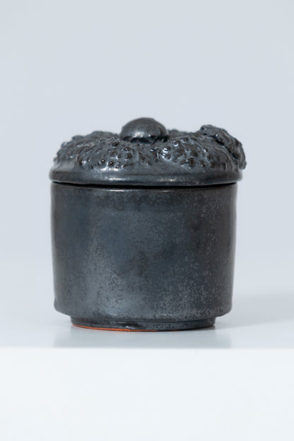 Concha azucarera Perla Negra