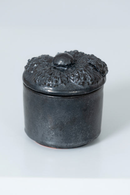 Concha azucarera Perla Negra