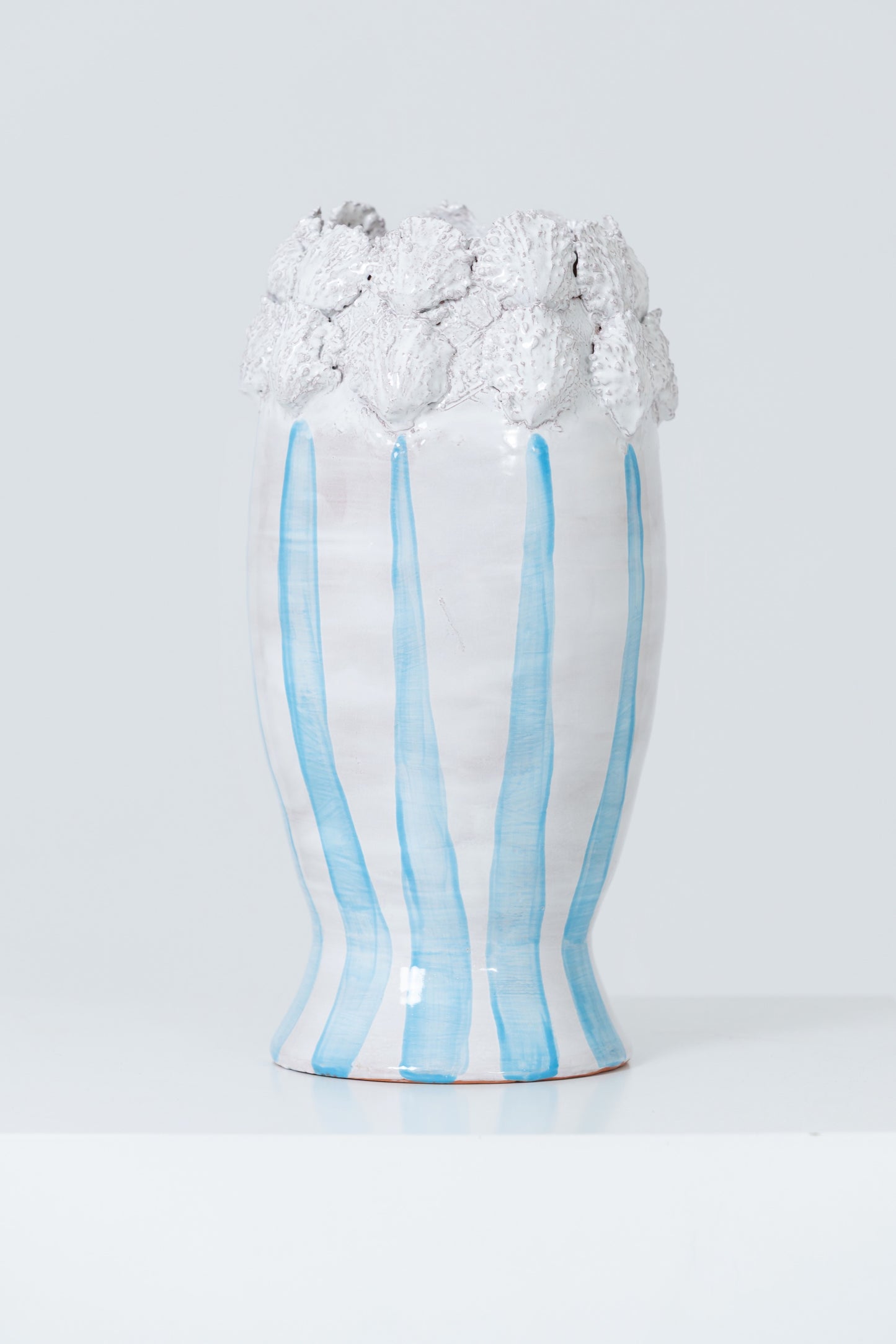 Concha y AMEIVA VASE AZUL