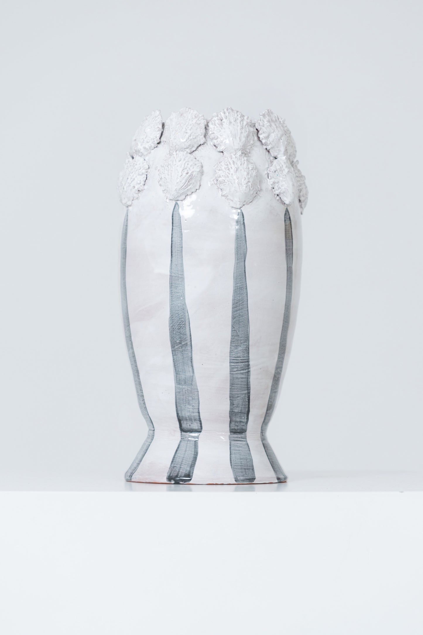 Concha y AMEIVA VASE NEGRO