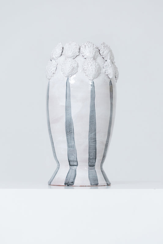Concha y AMEIVA VASE NEGRO