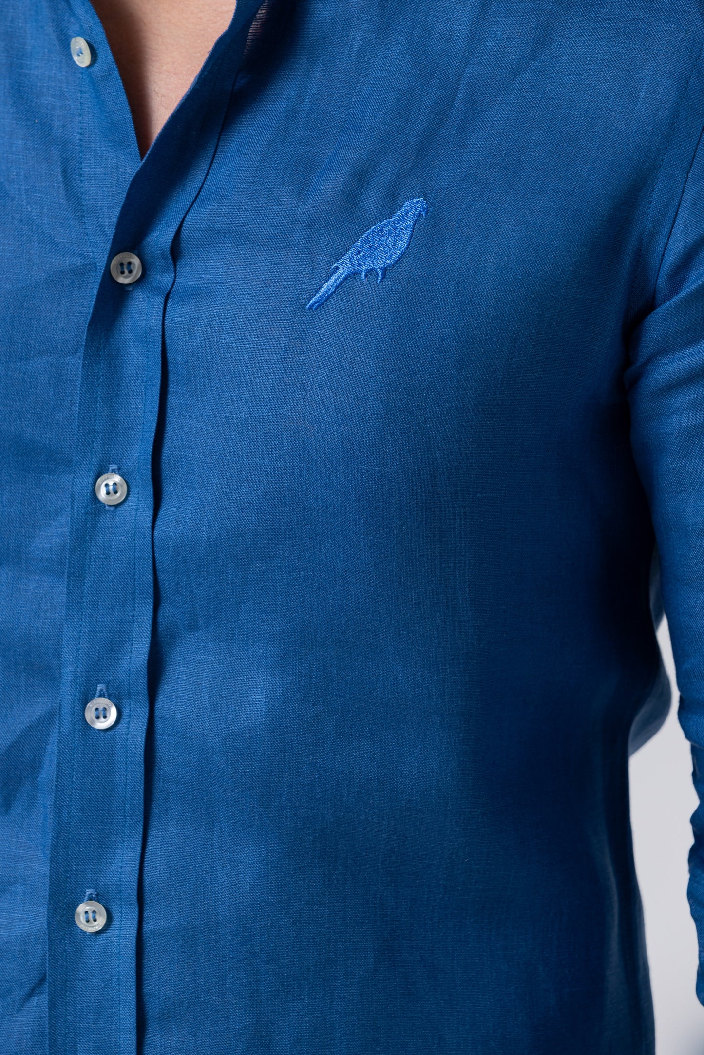 Cotorra Shirt Royal