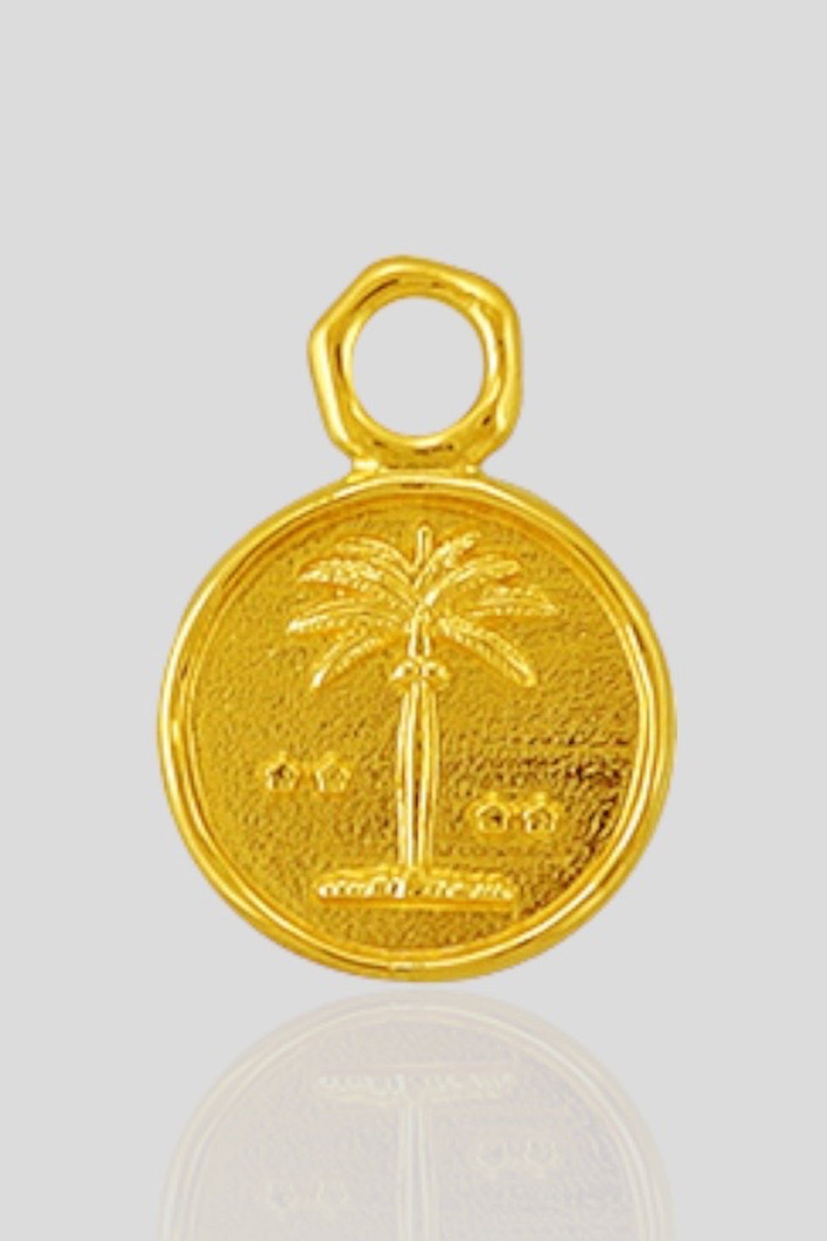 Palmita